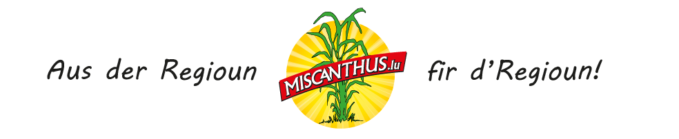 Miscanthus.lu